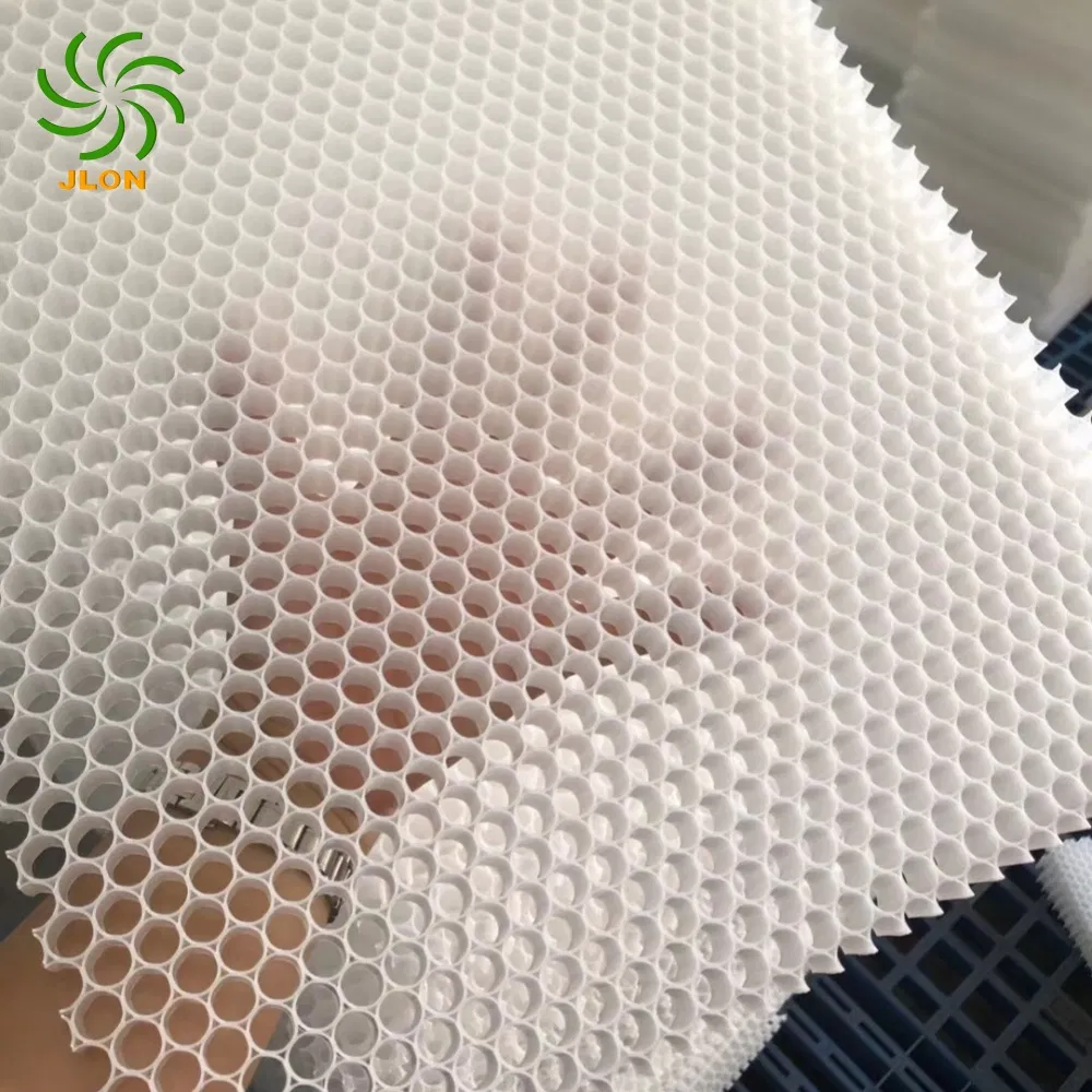 Environment Friendly PP Honeycomb Core Panel for Van Vehicle, Yachting, Home Furnishing