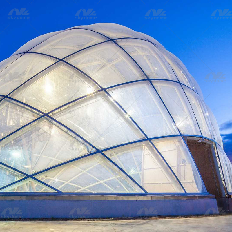 ETFE Transparent Membrane Canopy Structure