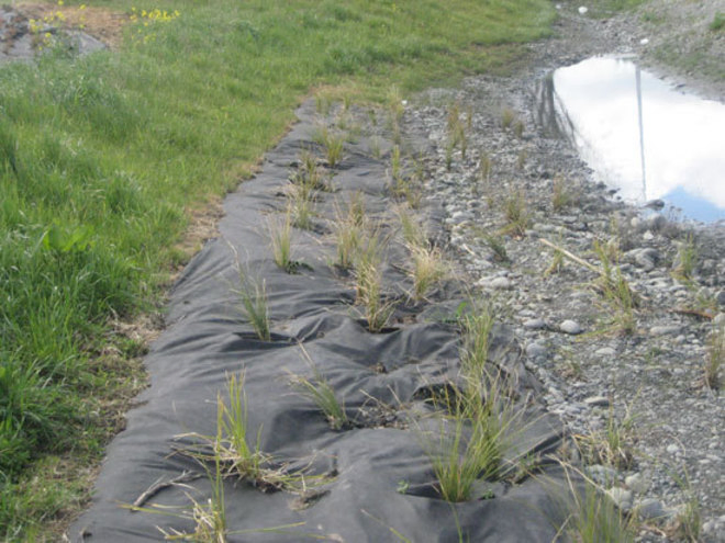 PP Woven Weed Control Fabric Weed Mat Anti Grass Weeding Cloth Ground Cover Weed Control Barrier Mat Landscape Fabric