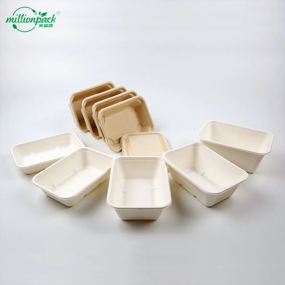 Biodegradable Heavy-Duty Bagasse Box for Burgers with Hinge Reinforcement