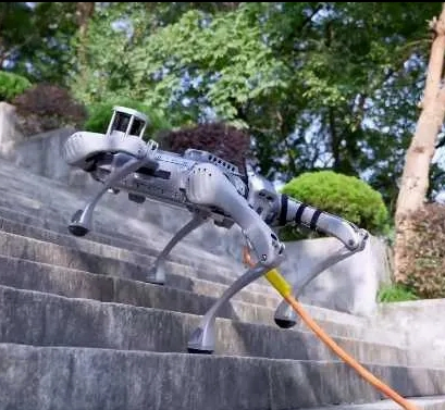 Yh-C62 B2 Four-Legged Mechanical Dog Robot Dog