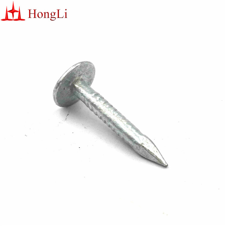Low Price 25mm X 3 mm Flat Head Roofing Nails/Galvanized Clout Nails for Roofing/Coil Roofing Nails/Cupper Nails/Iron Nails/Galvanized Nails
