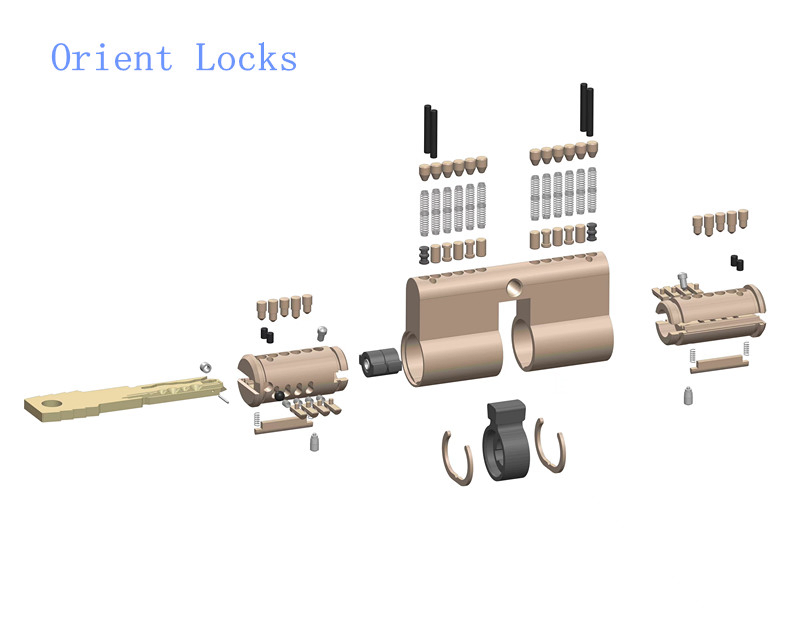 High Quality Door Lock Computer Cylinder with Snake Keyway & Roller Pin