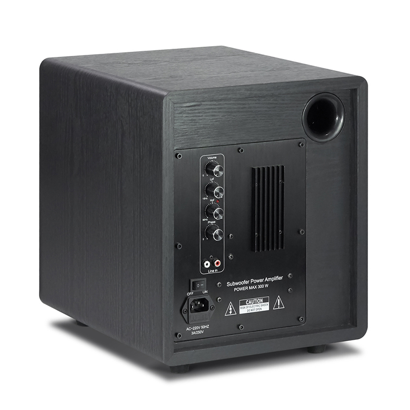 Tianlai Tl-Jxd8 Caisson De Basse Actif Outdoor New Mini Portable Fashion Speaker 2.1 8" Subwoofers 8 Inch Subwoofer Speaker