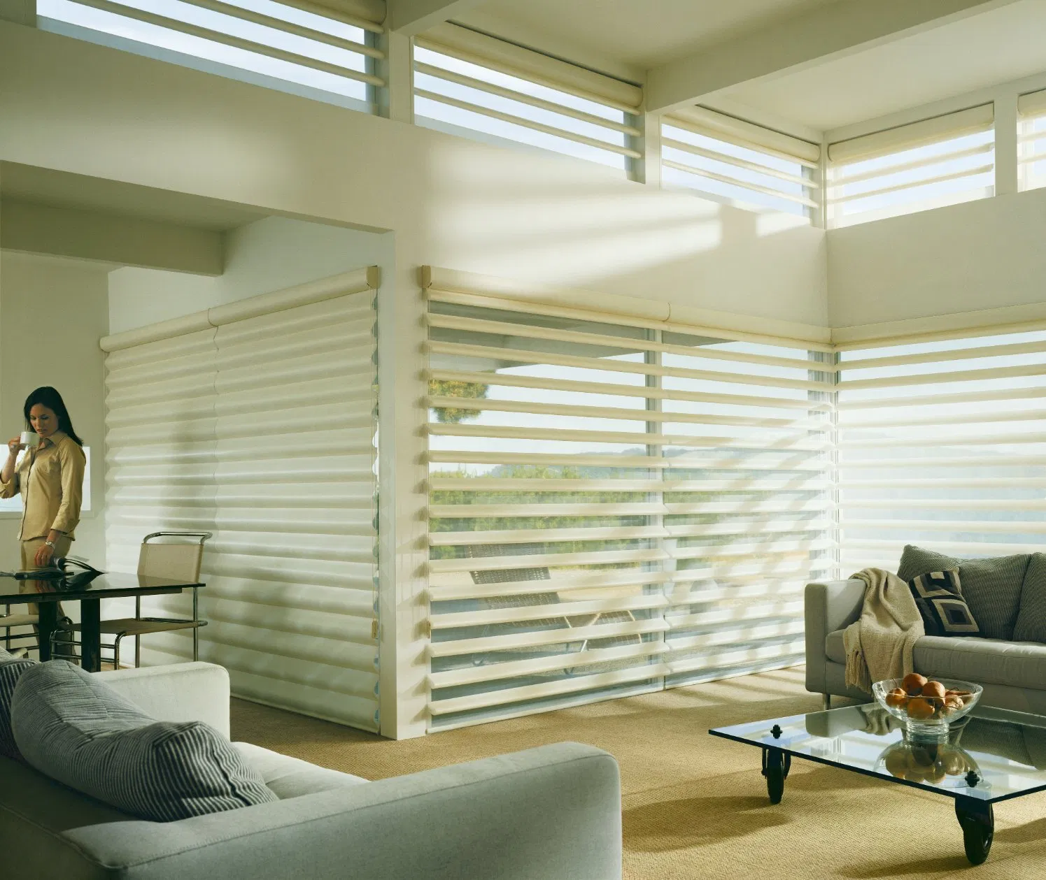 Curtains Roller Roller Blinds Fabric Curtain Fabric Window