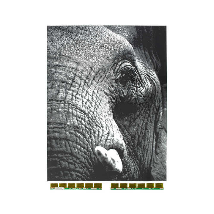 Профессиональный E-Ink дисплей 31.5 дюйма