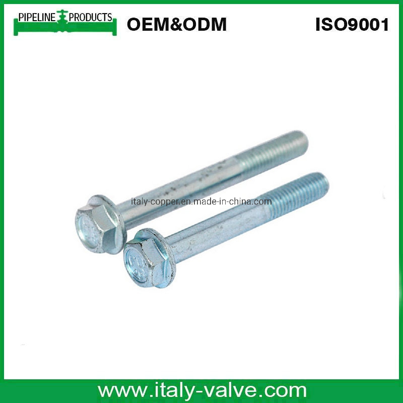 High Quality Lower Price Hex Bolt Wedge Anchor Bolt