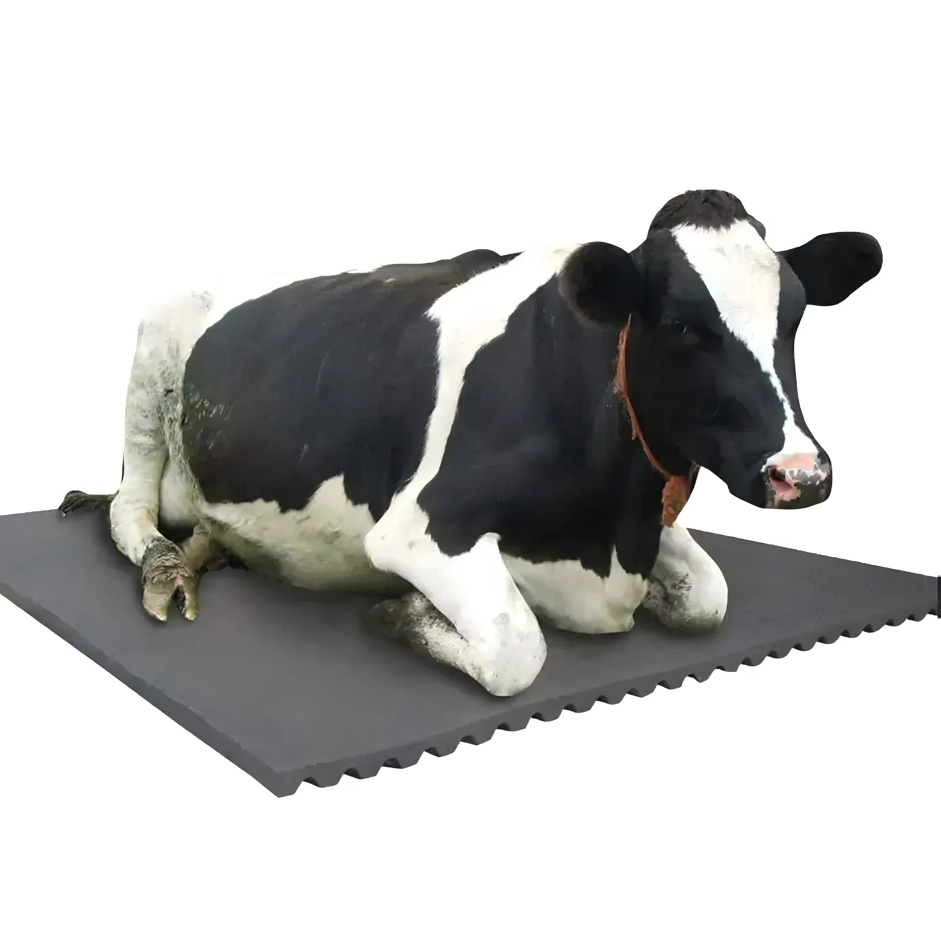 Cow Bed Equine Equestrian Horse Stable Stall Barn Flooring Rubber Mat