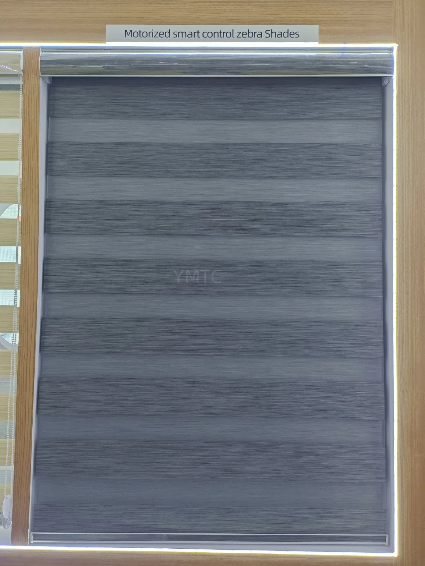 Home Decor Double Layers Motorized Smart Control Remote Zebra Blinds