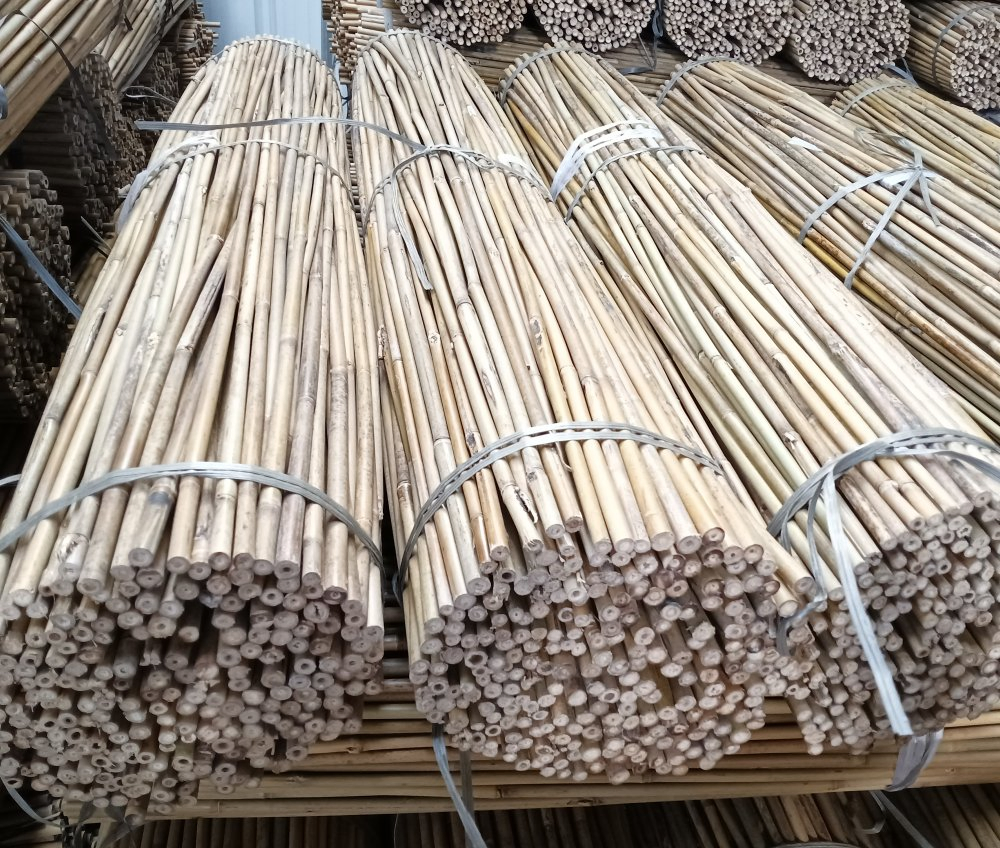 Bamboo Plant Support Tonkin Cane for Agriculture