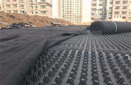 Dimple Mat Drainage Board Drainage Membrane for Sloping Roof Greening