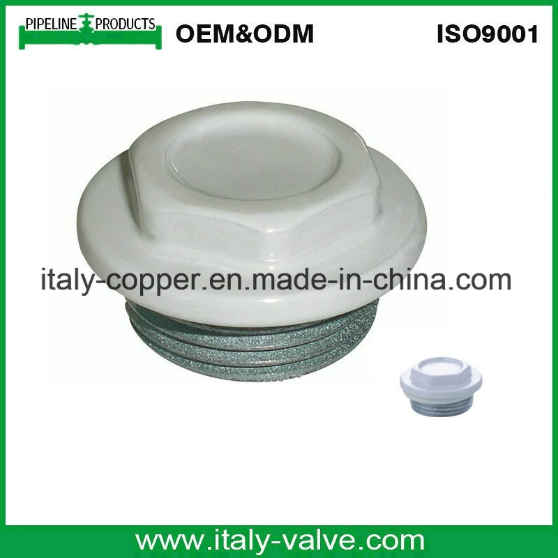 Aluminum Radiator Steel Reducing Plug (AV-R-1001)