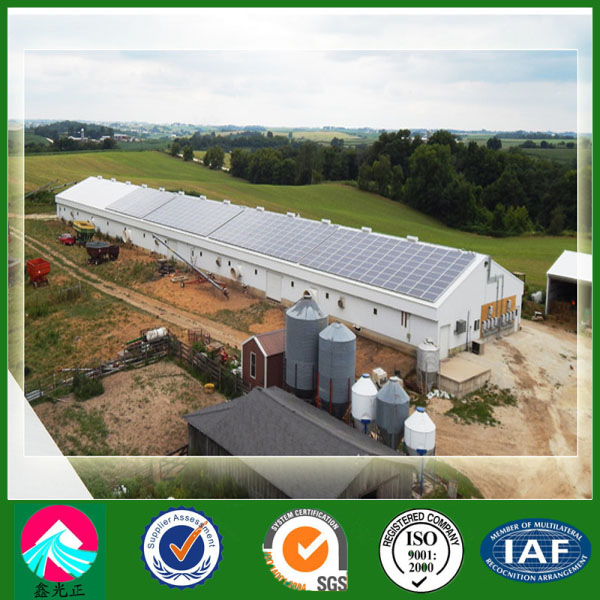 Prefabricated High Quality Poultry House with ISO/SGS Certificate