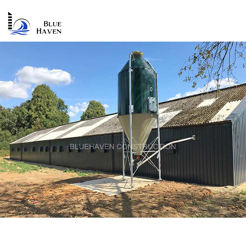 China Chicken Shelter Shed/Workshop/Warehouse Clear-Span Building