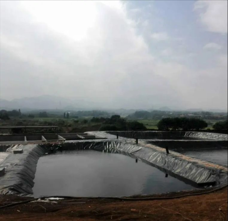 Geomembrane for Mining Ponds with Reliable Seepage Control Features