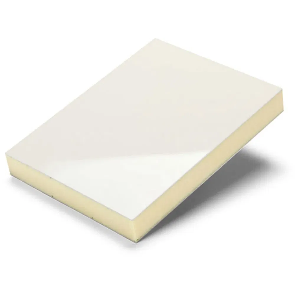 Extruded Polystyrene Composite Panel with FRP/Alu/Steel Skin XPS Foam Panel