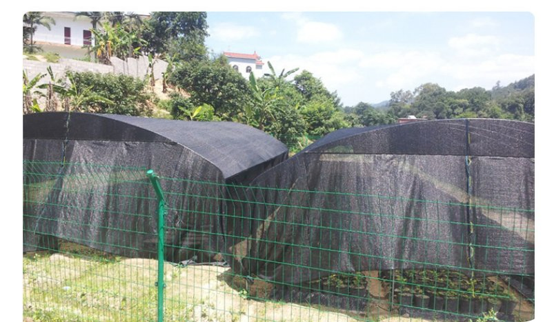 Agricultural Net/Dark Green Sun Shade Net for Agriculture Greenhouse Shade