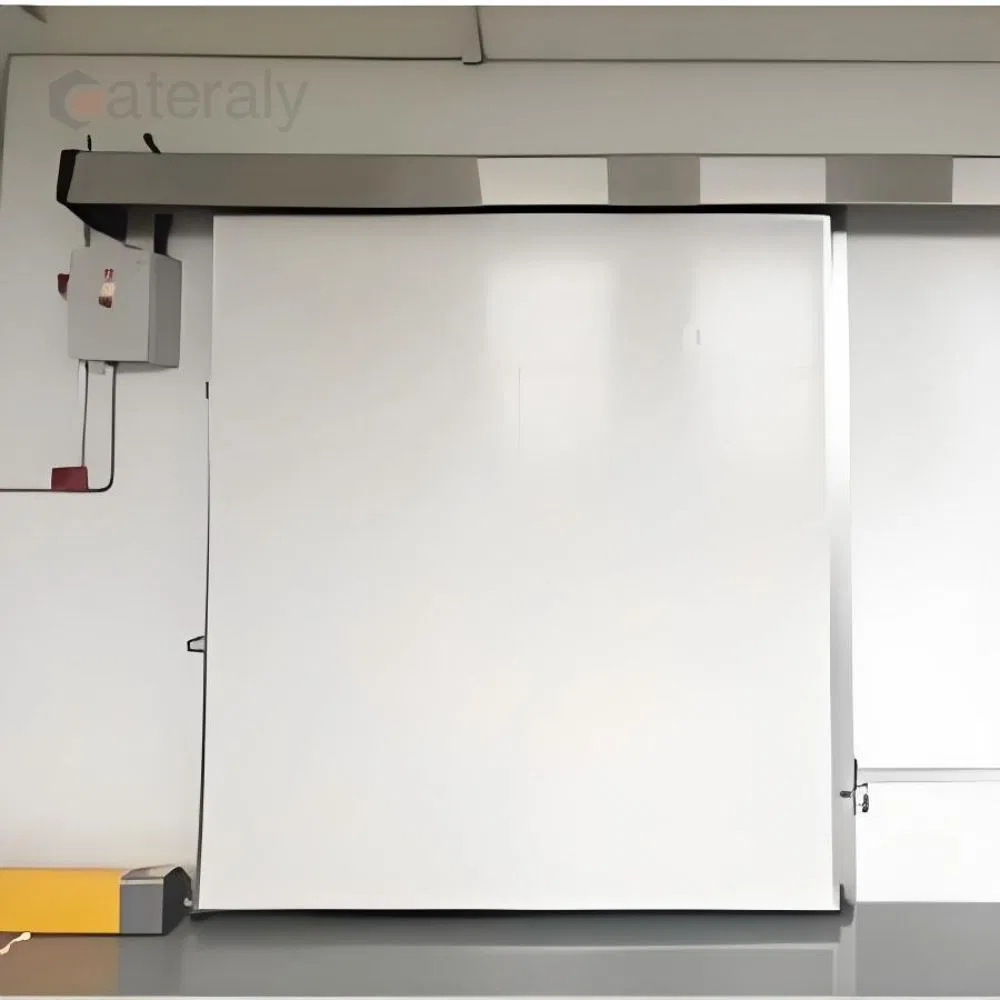 Energy-Saving Cold Storage Door with Various Thickness Options Available