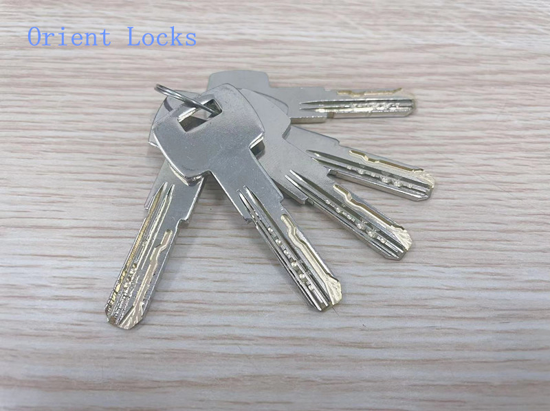 Lock Cylinder Snake Key Way Euro Profile Computer Cylinder