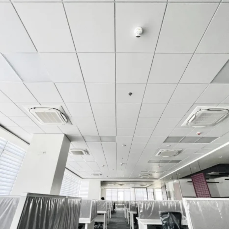 Aluminum Lay in Ceiling Tile Perforation and T Black Groove Carrier