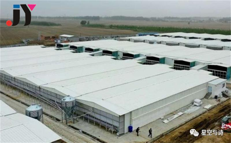 Versatile Steel Platform for Durable Warehouse Storage Solutions