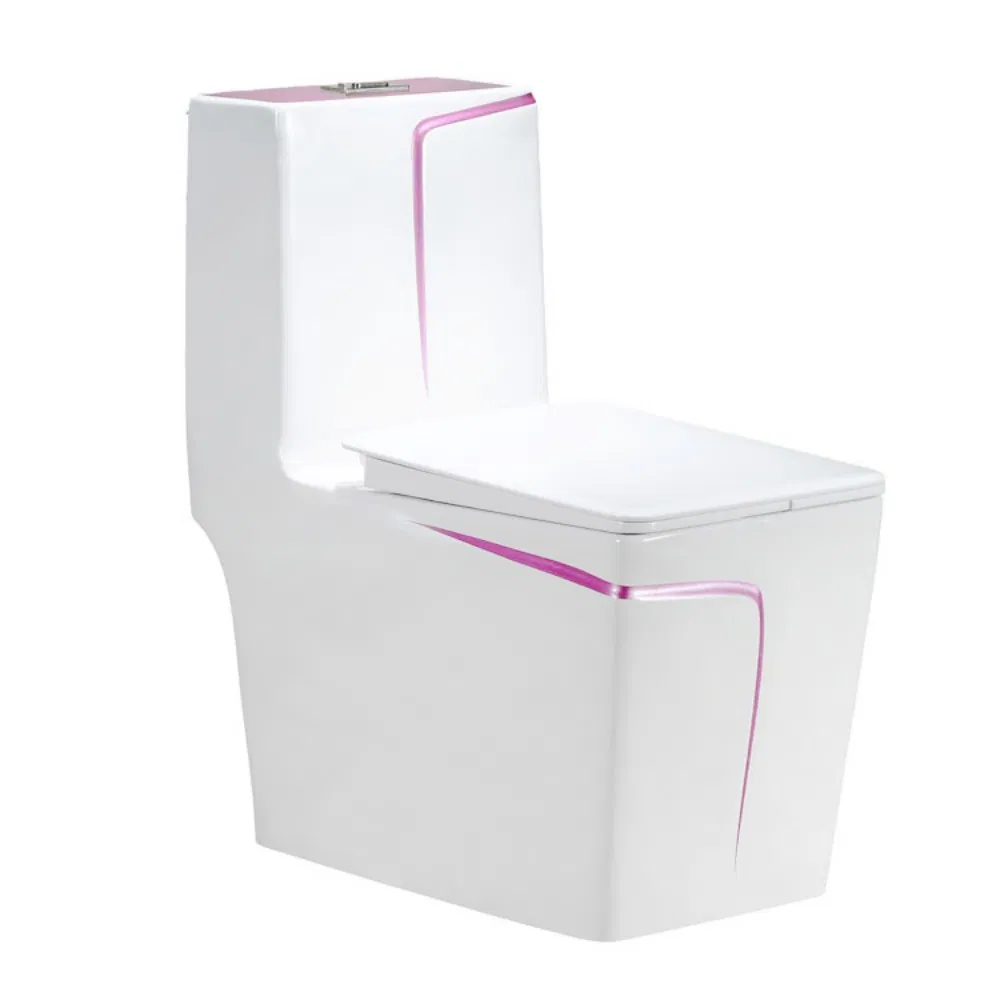 One-Piece Rough-in Ceramic Toilet White Toilet Bowl Rare Earth Antibacterial Glaze Slow Down Cover Seat Siphon Wc