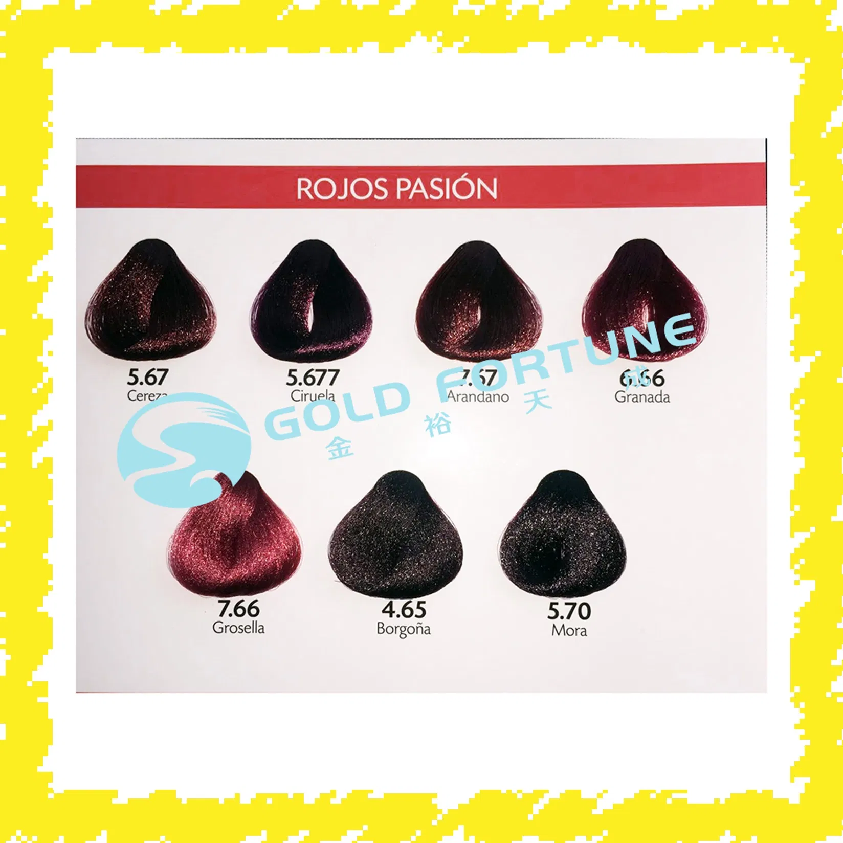 Wholesale Salon Hair Colour Chart Kit