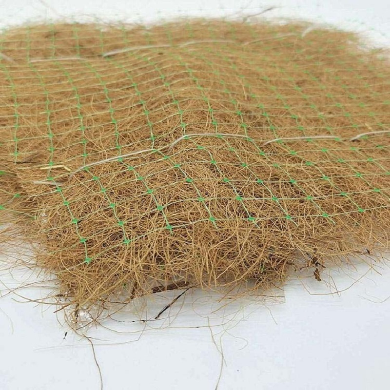 Tr Coconut Fiber Erosion Control Blanket for Sustainable Soil Stabilization