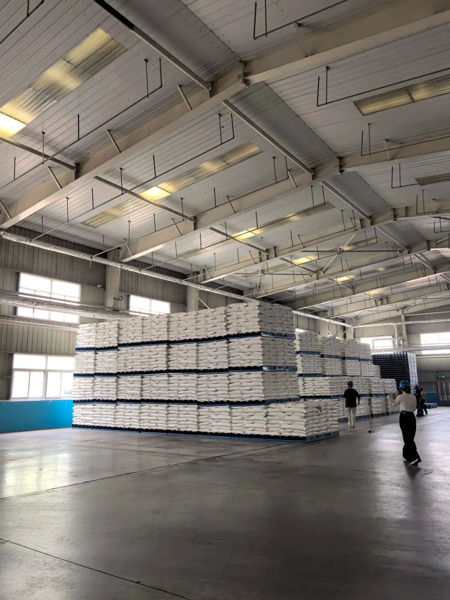 High-Quality Sodium Gluconate for Concrete Metal Cleaning Water Treatment