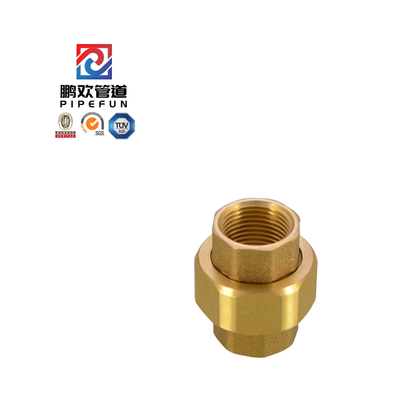 High Pressure Forged Steel Socket Weld /Thread Pipe Fitting Brass Union