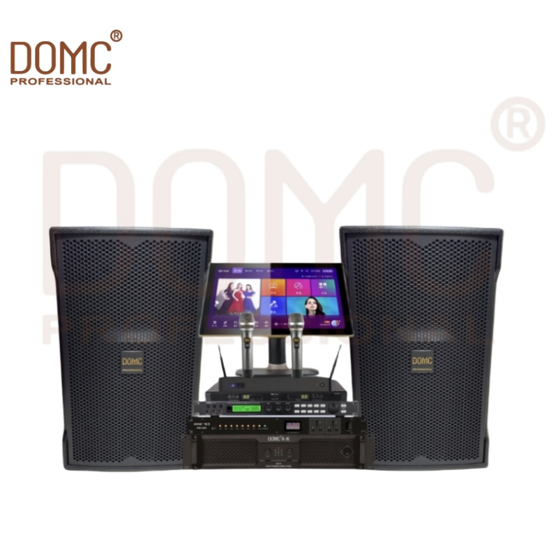 Domc K215 PRO 15-Inch Stage Speaker - Unmatched Sound Quality