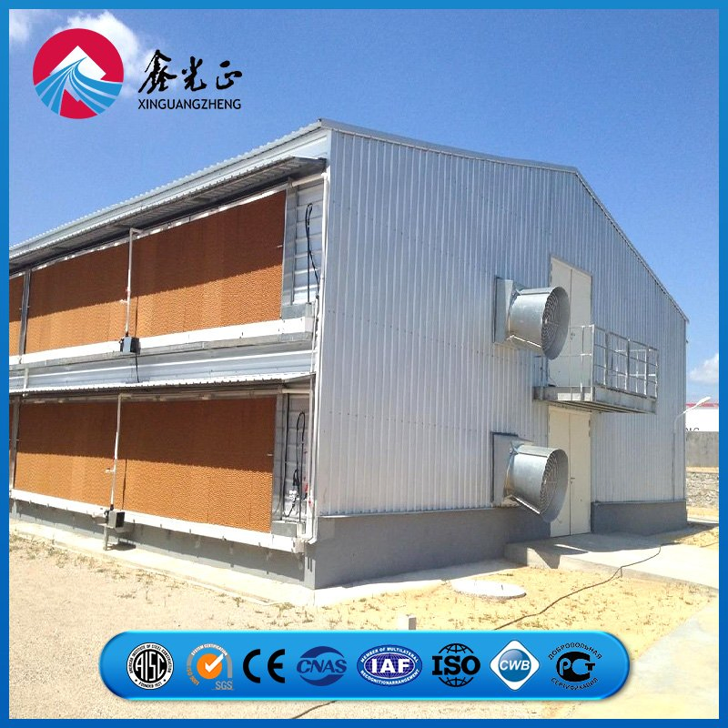 Truss Apex Reinforcement Plate Frame Chicken Prefab Metal Farming Equipment Steel Structure Sheep/Goat/Pig/Hog/Cattle/Cow/Poultry House/Shed