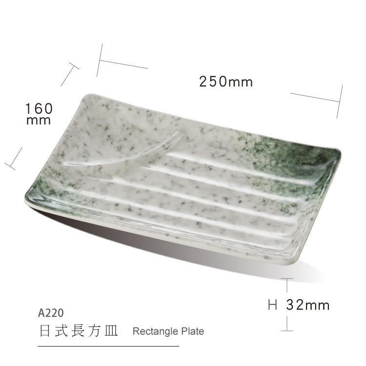 BPA Free Salad Plate Divided Melamine Plate with Sauce Compartment