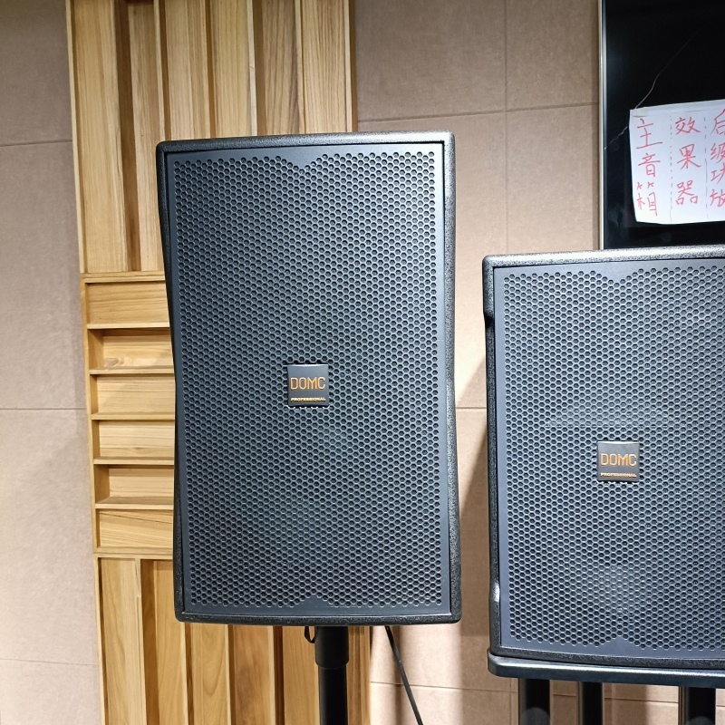 Superior Sound 15-Inch Speaker with 99dB Sensitivity by Domc K215