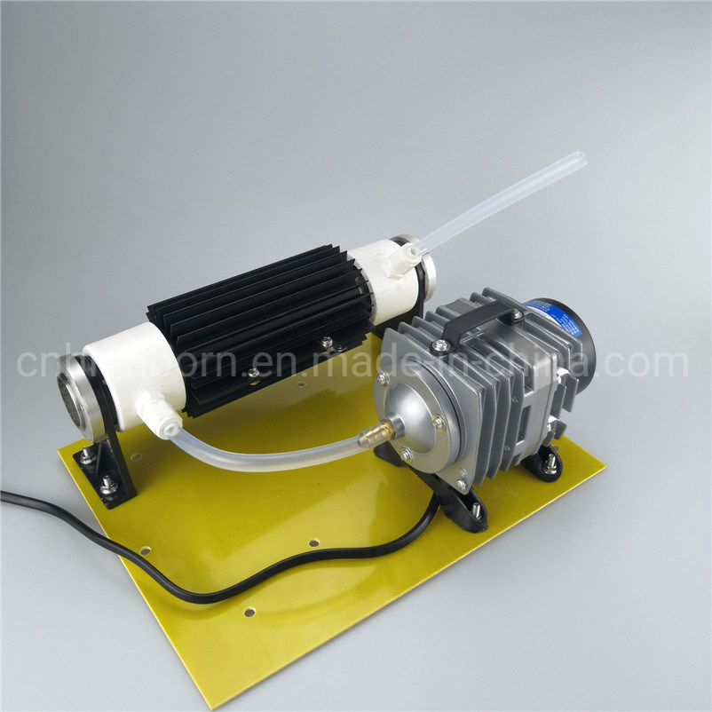 Power Supply Adjustable 110V 220V 10g/H Quartz Tube Ozone Water Purifier O3 Generator Module