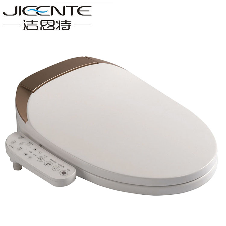 Smart Toilet Seat Bidet for Bathroom
