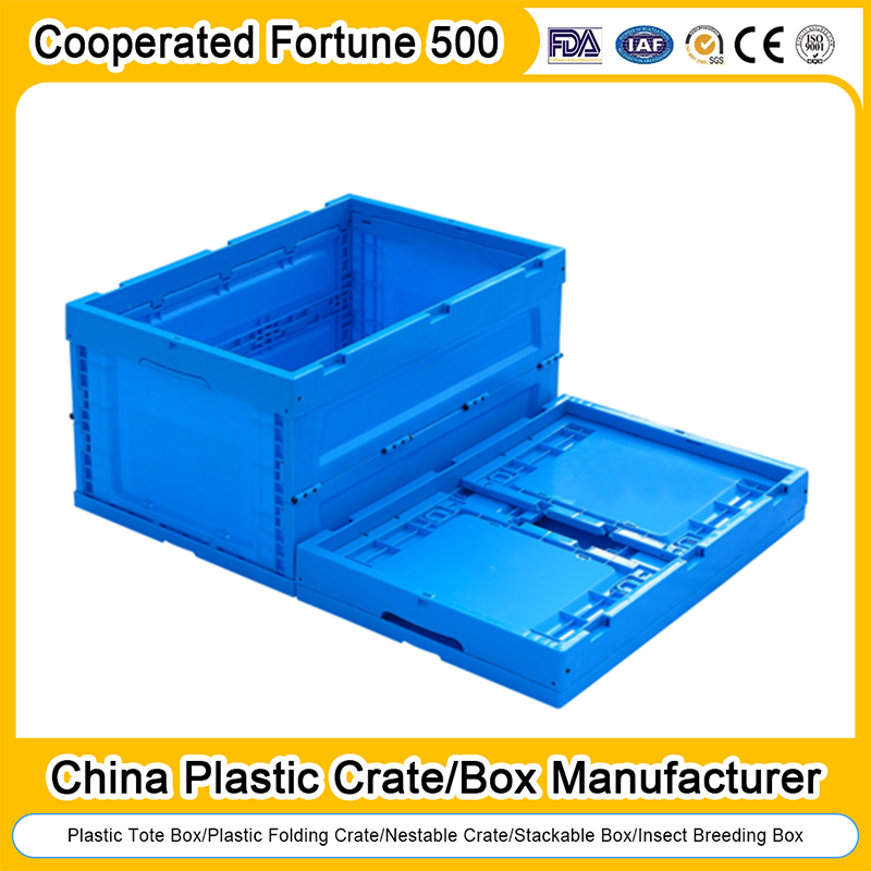 Collapsible Folding Storage Basket EU Logistic Turnover Agriculture Plastic Foldable Moving Mesh Totes Crate for Vegetable and Fruit 40X30X14/17/22cm, 60X40X12