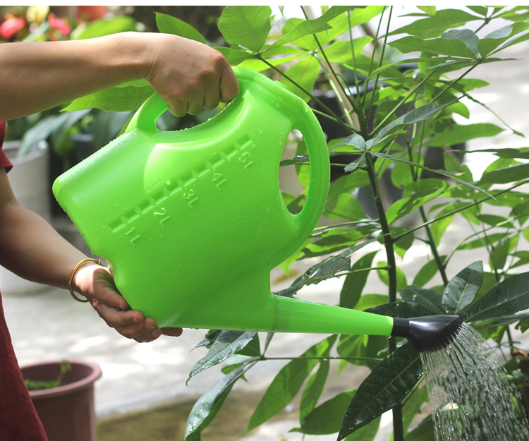 5L/10L OEM Agriculture Can Long Spout Flower Home Garden Watering Can (WNC002)