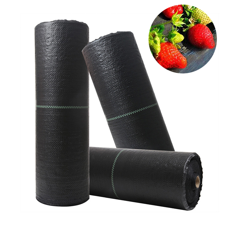 100GSM Anti Grass Control Mesh Weed Prevent Weed Prevent Cloth Weed Barrier Matarrier Mat
