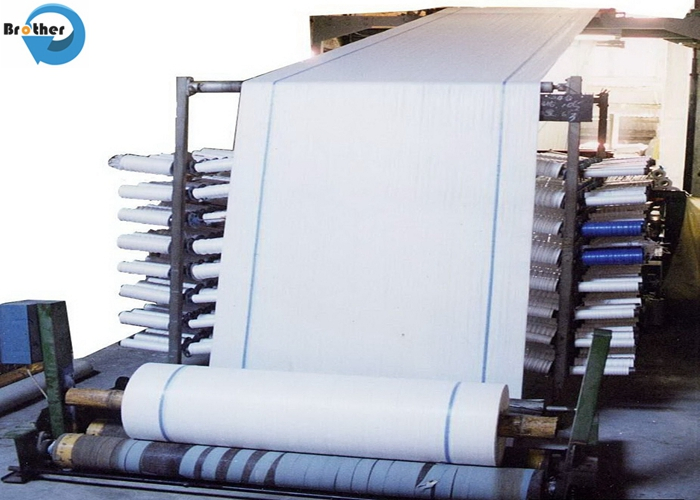 PP Fabric Roll, Woven Bag Roll to Packing Rice, Flour, Sugar, Garbage, Animal Feed