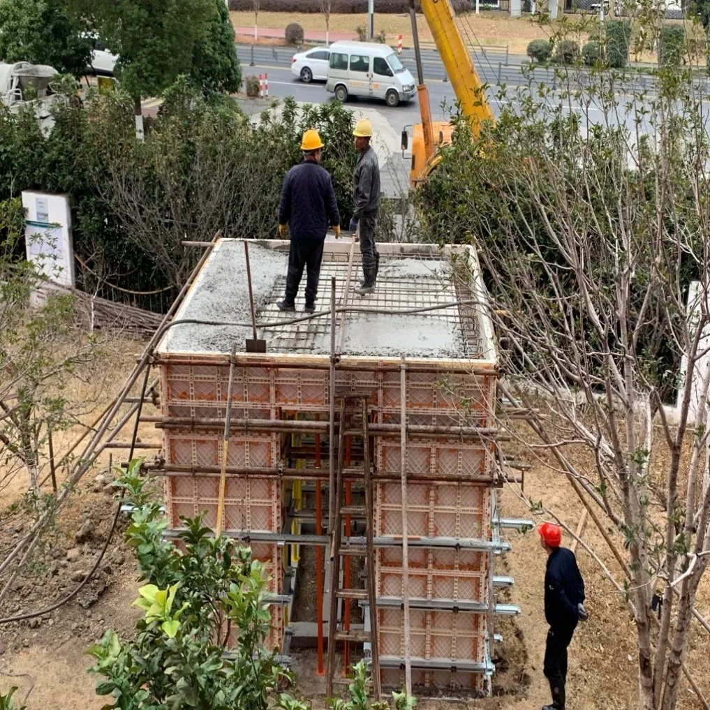 Popular Adjustable Plastic Formwork for The Building Construction