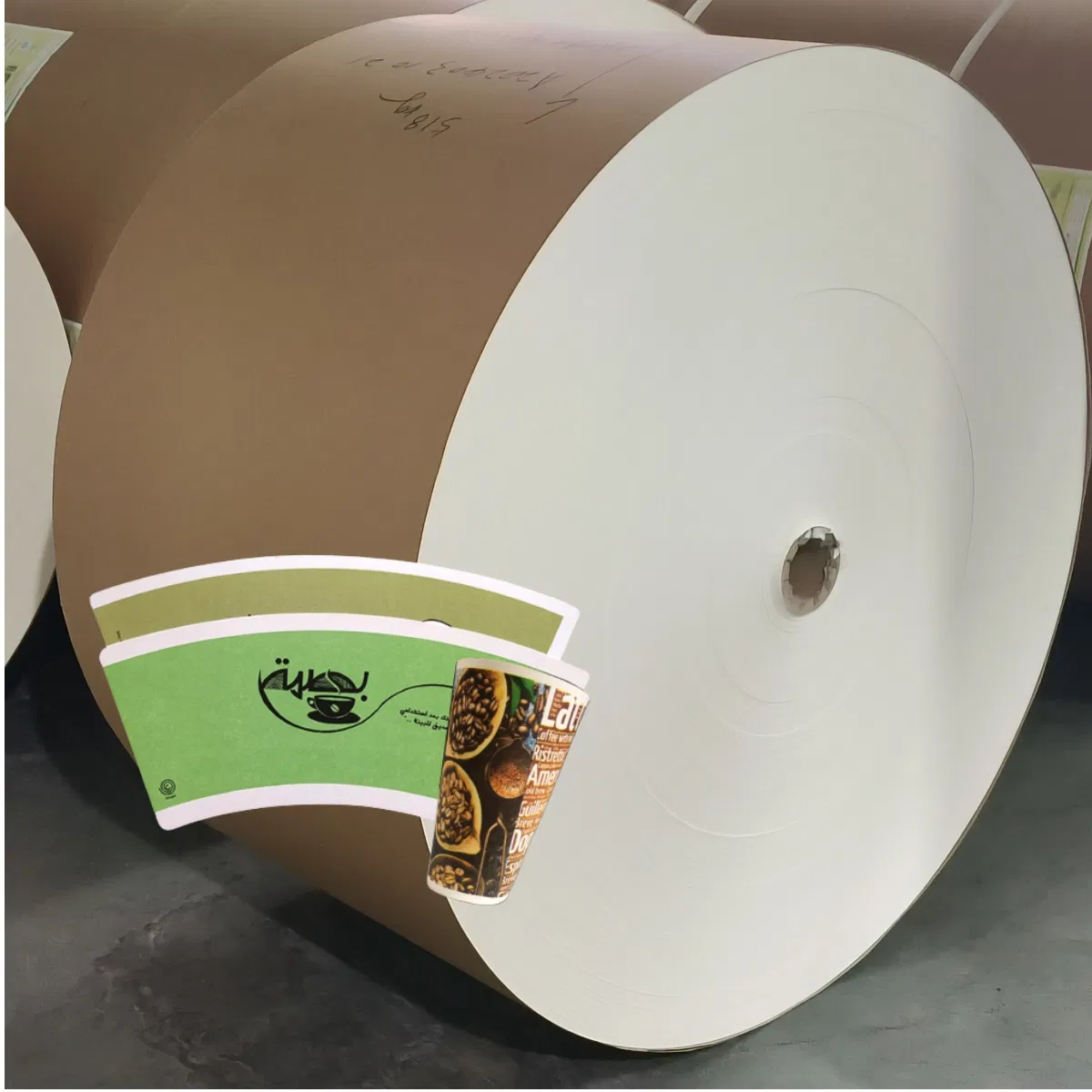 First Grade Roll for Coffee Cup Paper Wood Pulp