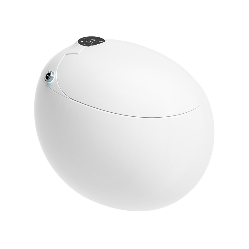Toilet Egg Smart Toilet Fully Automatic Bidet and Toilet Wc Smart Seat Sprayer for Bath