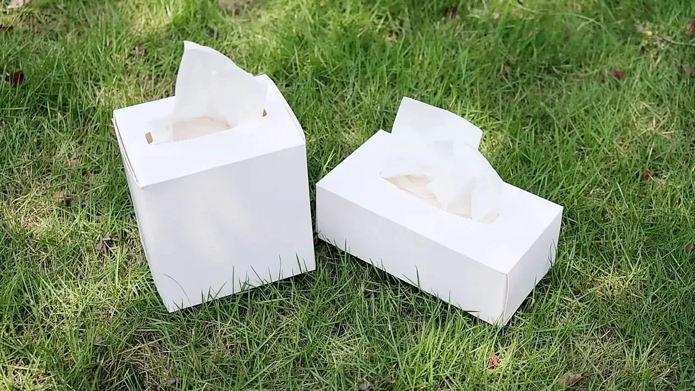 BSCI/OEM Factory Eco-Friendly/Tree Free 2/Ply3ply Strong Soft Bulk White 100% Bamboo Facial Tissue for Bathroom/Home/Hotel