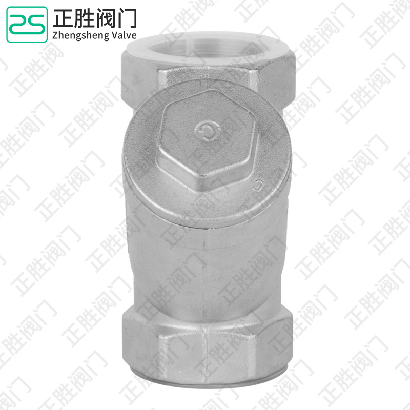 Premium SS304 Y Strainer for Advanced Liquid Filtration Solutions