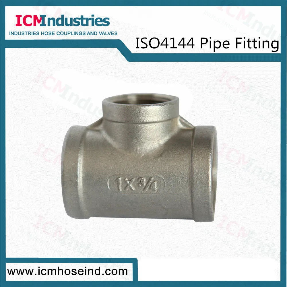 Stainless Steel Hex Bushing Threaded Fittings/ISO 4144 Pipe Fitting