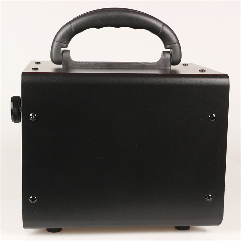 Water Treatment 20g 30g 60g Portable Air Purifier Ozone Generator