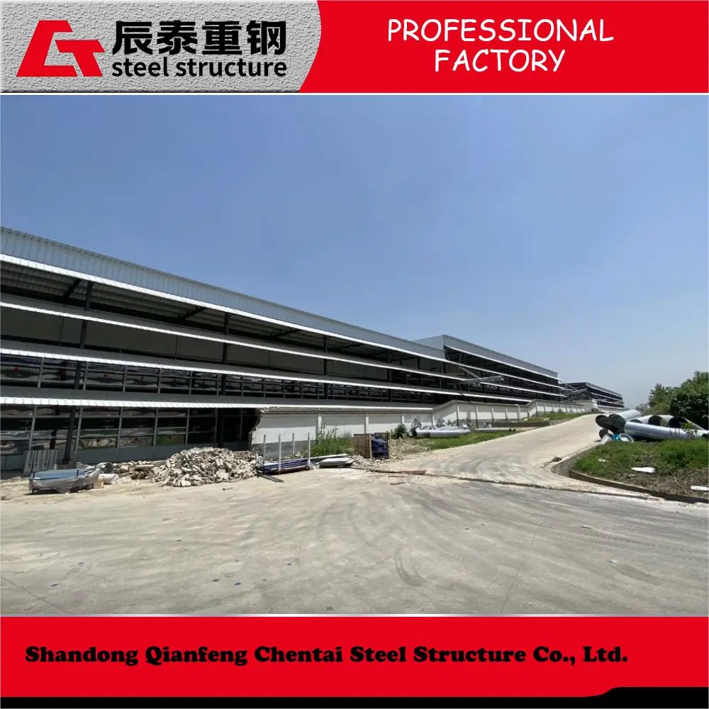 High Quality Prefabricated Steel Structure Poultry Construction for Chicken and Cow Shed