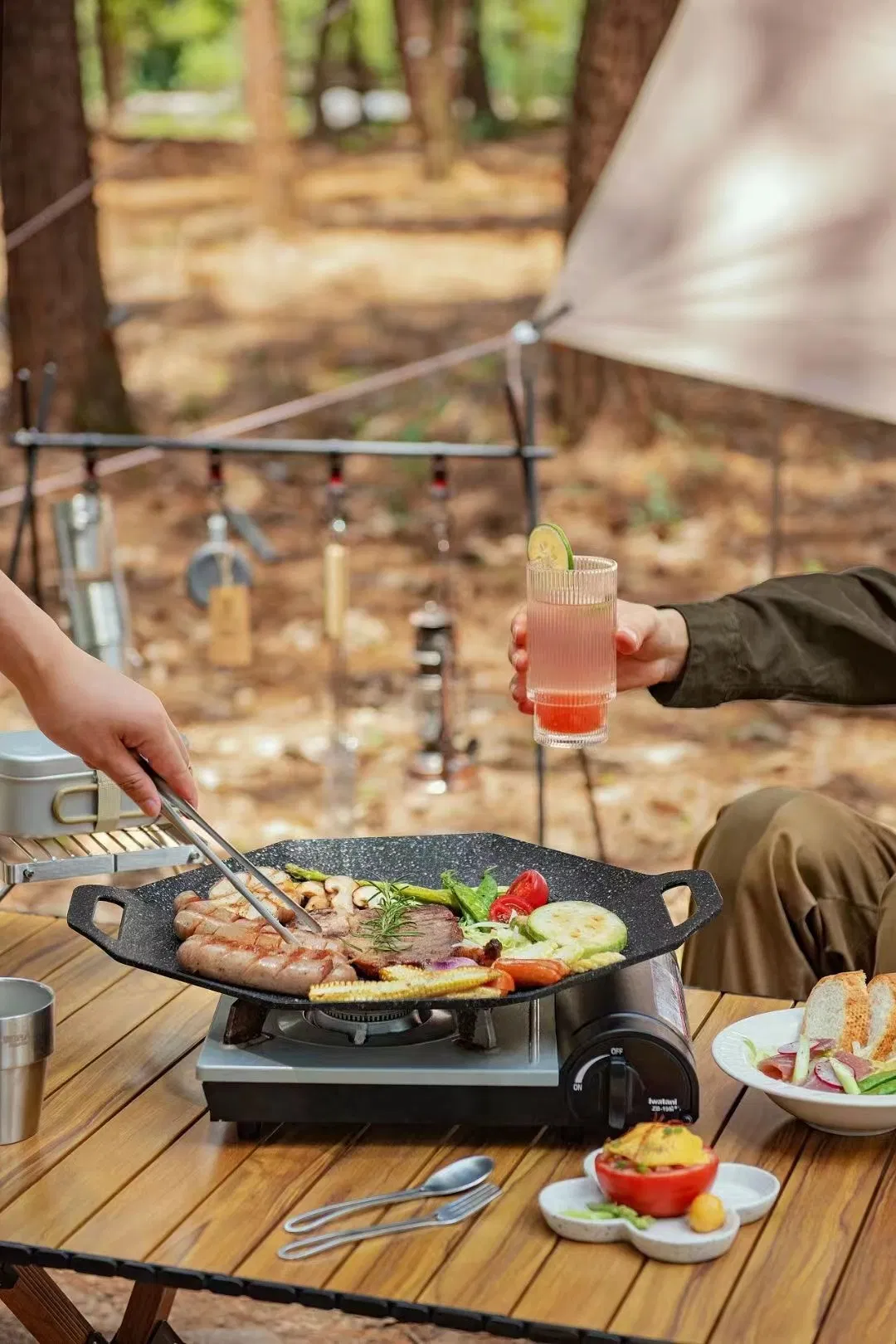 Frying Pan Die-Cast Non Stick Grill Pan Cast Camping Cooking