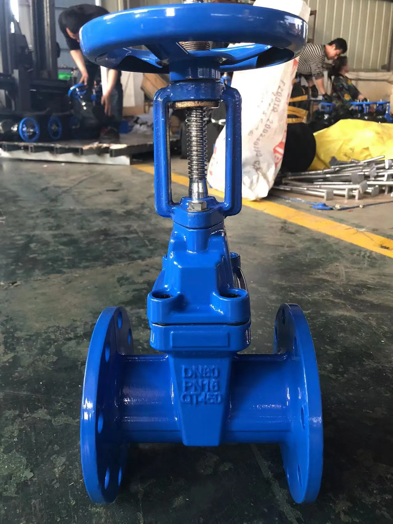 China Manufacturer Cast Iron Cast Steel Resilient Seated Rising Stem Wedge Gate Valve